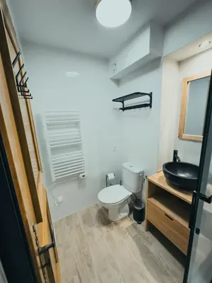 a bathroom with a toilet and a sink at Le Montenvers - Central Studio & Private parking in Chamonix-Mont-Blanc