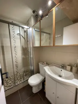 a bathroom with a toilet and a shower and a sink at Studio Carroz d'Arâches 4 pers in Arâches-la-Frasse
