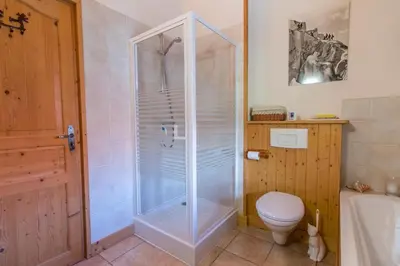 a bathroom with a shower and a toilet at Chalet des Cimes in Samoëns