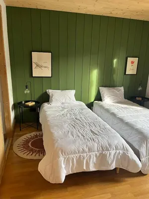 two beds in a room with green walls at Huxa Appt Megève Centre in Megève