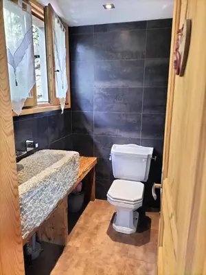 a small bathroom with a toilet and a sink at Chalet Peppa in Sallanches