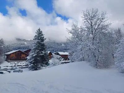 a snow covered yard with trees and a house at studio familial 4 couchages in Arâches-la-Frasse