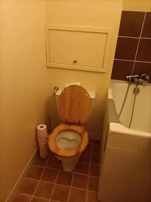 a bathroom with a wooden toilet and a tub at studio familial 4 couchages in Arâches-la-Frasse