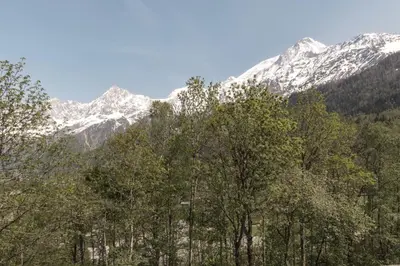a group of trees with snowy mountains in the background at Le mazot de Kayla - Espace bien être, picine in Les Houches