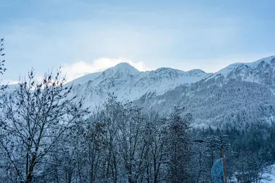 a green couch with a pillow on top of it at Apartment Omas Les Houches - by EMERALD STAY in Les Houches