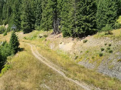 a dirt road in the middle of a forest at Appartement spacieux Flain - Ski aux pieds et parking - FR-1-425-235 in Arâches-la-Frasse