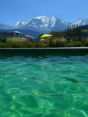 a pool of water with mountains in the background at Chalet Taïga face au Montblanc et à 7min de Megève in Combloux