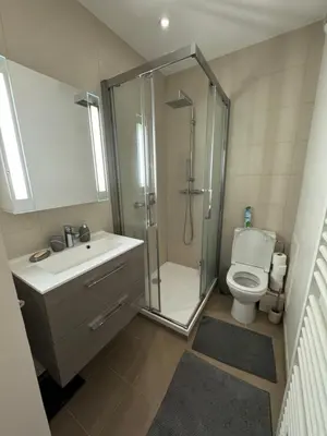 a bathroom with a shower and a sink and a toilet at Chamonix city center rue Paccard in Chamonix-Mont-Blanc
