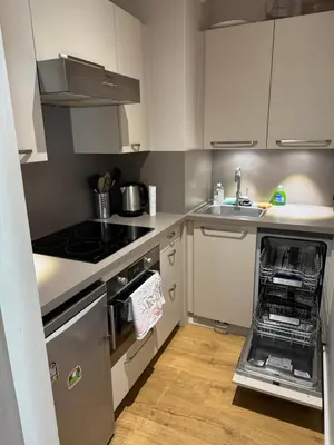 a kitchen with white cabinets and a dishwasher at Chamonix city center rue Paccard in Chamonix-Mont-Blanc