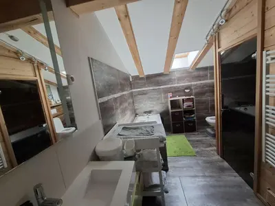 a bathroom with a sink and a toilet at Chalet du Verney - Pied du Prarion - Sauna in Les Houches