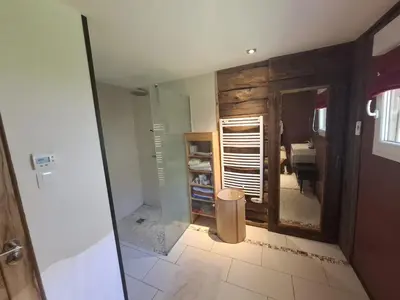 a bathroom with a mirror and a walk in closet at Chalet du Verney - Pied du Prarion - Sauna in Les Houches