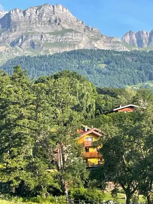 a house in the trees with a mountain in the background at Gite Le sommet in Sallanches