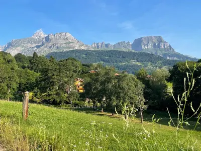 a field with trees and mountains in the background at Gite Le sommet in Sallanches