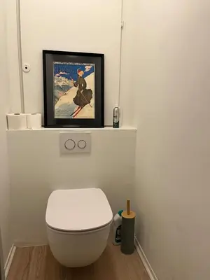 a bathroom with a white toilet and a picture at Beautiful cozy and fully renovated apartment in Chamonix-Mont-Blanc