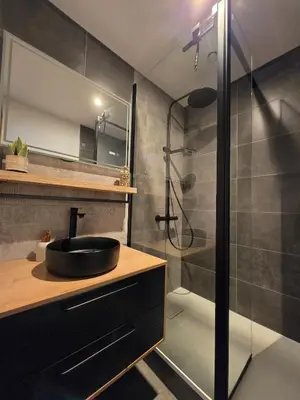 a bathroom with a sink and a shower at Appartement atypique au cœur de Sallanches in Sallanches