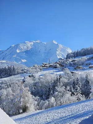 a snowy field with trees and mountains in the background at Chalet Double M I Le Chalet Club in Combloux