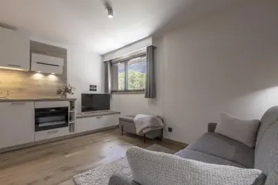 a living room with a couch and a tv at Studio Kayla - Espace bien-etre Piscine Face au Kandahar in Les Houches