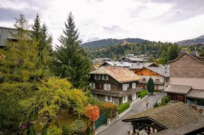 an aerial view of a town with houses and trees at Arly in Megève
