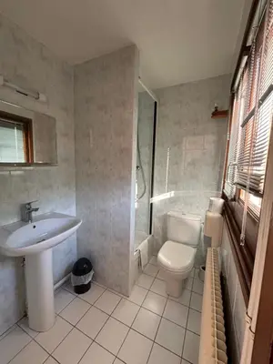a bathroom with a sink and a toilet and a shower at Hôtel-Bar-Restaurant Les Dômes de Miage in Saint-Gervais-les-Bains