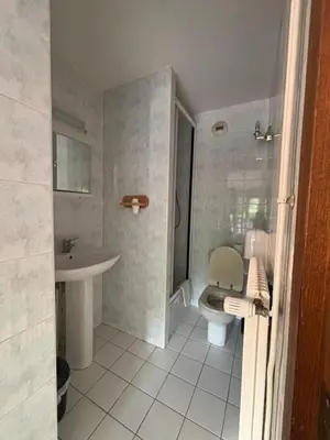 a bathroom with a toilet and a sink at Hôtel-Bar-Restaurant Les Dômes de Miage in Saint-Gervais-les-Bains