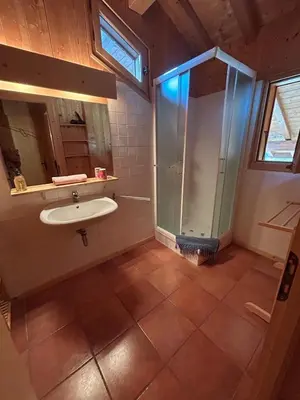 a bathroom with a sink and a shower at Carpe Diem in Sixt