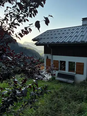 a house with a bench in front of it at Carpe Diem in Sixt