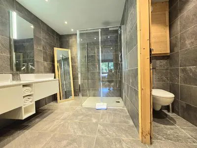 a bathroom with a shower and a toilet and a sink at Modern apartment Rochebrune ski in ski out in Megève