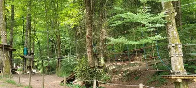 a forest with a fence in the middle at Grand studio près Lac Gaillands in Chamonix-Mont-Blanc