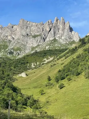a grassy hill with a mountain in the background at L'aiguille in Saint-Gervais-les-Bains