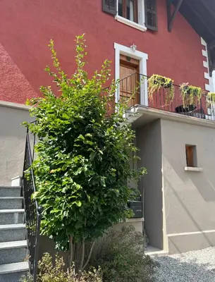 a large bush next to a building with a staircase at Duplex MontBlanc - Suite, Centre & Parking by AlpenlySallanches in Sallanches