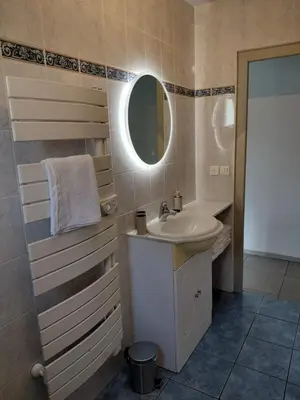 a bathroom with a sink and a mirror at Maison La Pallud in Domancy