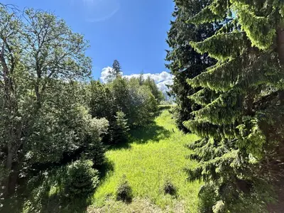 a path through a forest with trees and grass at Appartement 3 Pièces, 4-6 couchages, COMBLOUX COM100-A402 in Combloux