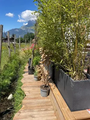 a row of potted plants on a wooden walkway at Chalet avec Jacuzzi vue Dômes de Miage in Bionnay