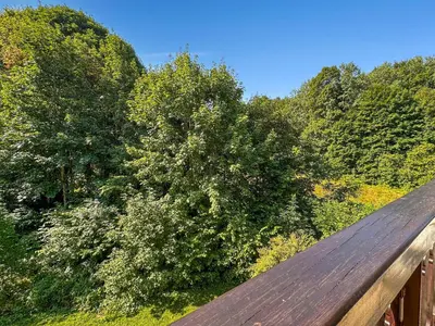 a wooden deck looking out over a forest of trees at MUD212 2 pieces 4 pers proche centre les Carroz in Les Carroz d'Araches
