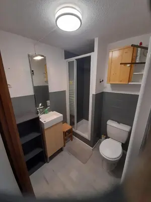 a small bathroom with a toilet and a sink at Edelweiss Résidence plein centre de la station rez de chaussée 50 m des navettes gratuites belle terrasse et grand parking privé en sous sol in Les Carroz d'Araches