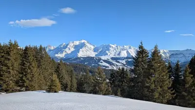 a snow covered mountain with trees in the foreground at Les Chaumes - T3 moderne piscine in Sallanches