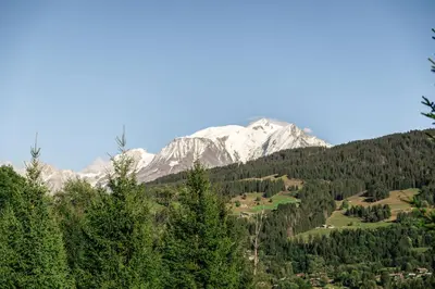 a view of a mountain range with trees at Megeve Luxury Estate The Royal Alpine Retreat with Mont Blanc View - Chalet Maille in Demi-Quartier