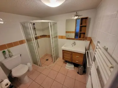 a bathroom with a shower and a toilet and a sink at Jardins Alpins A N 20 - 2P6 in Morillon