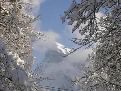 a mountain covered in snow with snow covered trees at Mountain Retreat for Families in Samoëns