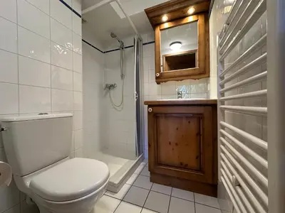 a bathroom with a toilet and a shower and a sink at Appartement confortable au pied des pistes pour 8 personnes - FR-1-642-104 in Morillon