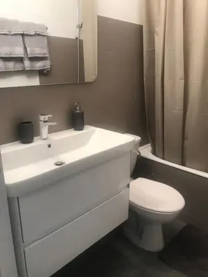 a bathroom with a white sink and a toilet at Samoëns studio 4 personnes idéalement situé in Samoëns