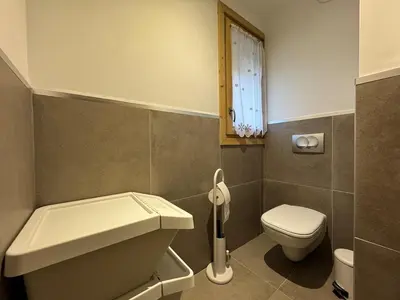 a small bathroom with a toilet and a sink at Joli appartement 2 chambres Belle Vue, Les Houches in Les Houches