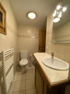 a bathroom with a toilet and a sink at Appartement 4-6 personnes centre Les Contamines Montjoie in Les Contamines-Montjoie