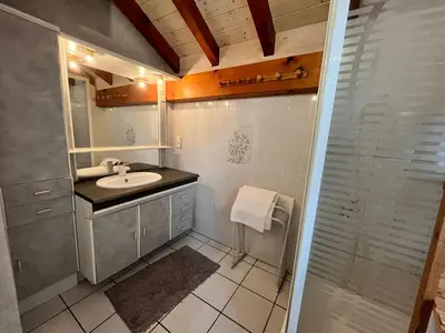 a bathroom with a sink and a shower at Chalet chaleureux au pied des pistes avec animaux acceptés - FR-1-624-184 in Samoëns