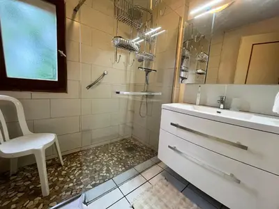 a bathroom with a sink and a shower at Chalet chaleureux au pied des pistes avec animaux acceptés - FR-1-624-184 in Samoëns