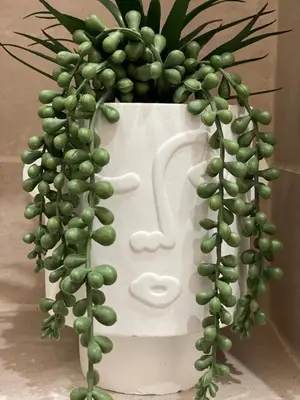 a white vase with a bunch of green plants in it at Studio cosy & rénové, à deux pas de la gare in Sallanches