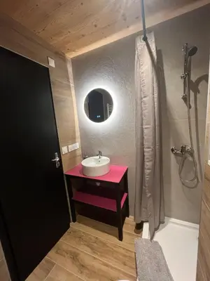 a small bathroom with a sink and a shower at Appartement au centre des Carroz in Arâches-la-Frasse