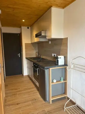 a small kitchen with a sink and a stove at Appartement au centre des Carroz in Arâches-la-Frasse