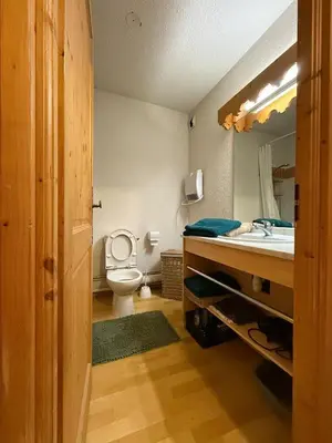 a bathroom with a toilet and a sink at Appartement Samoens Cosy in Samoëns