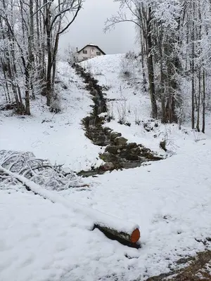 a snow covered path next to a snow covered forest at Les Contamines Montjoie in Le Cugnon
